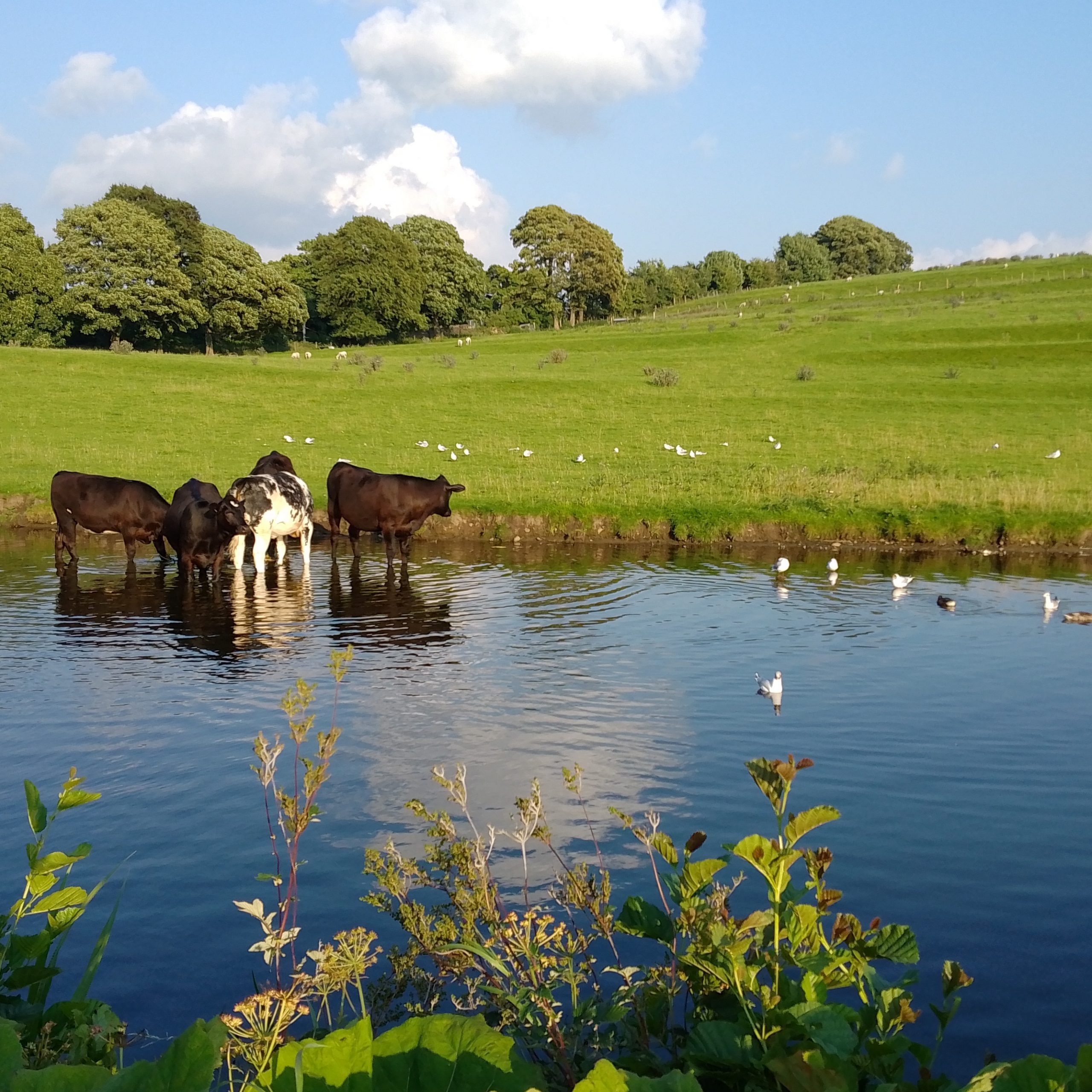 Popular Places to Moor