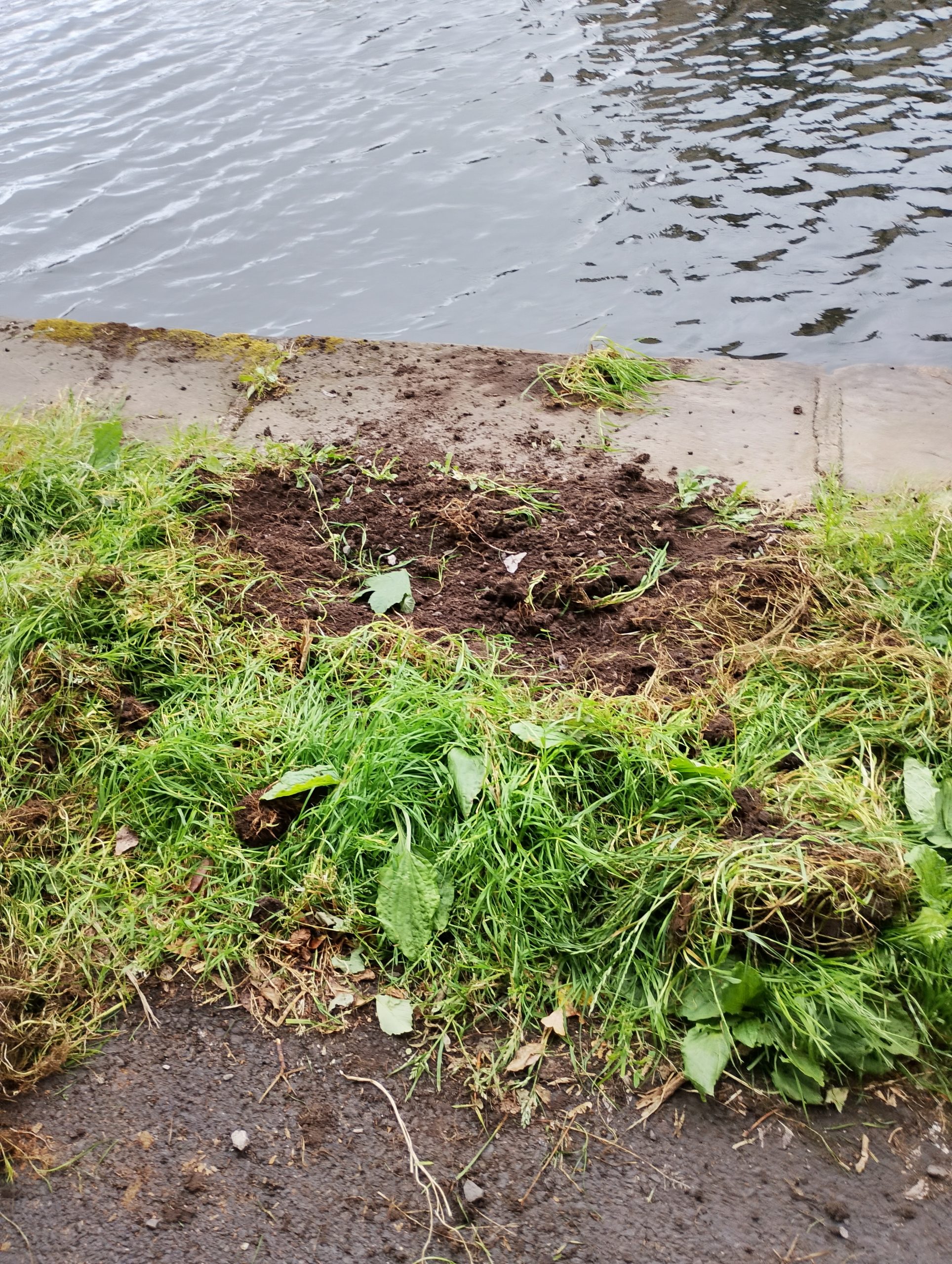 Fishing, Respect and Safety at Ashton Basin